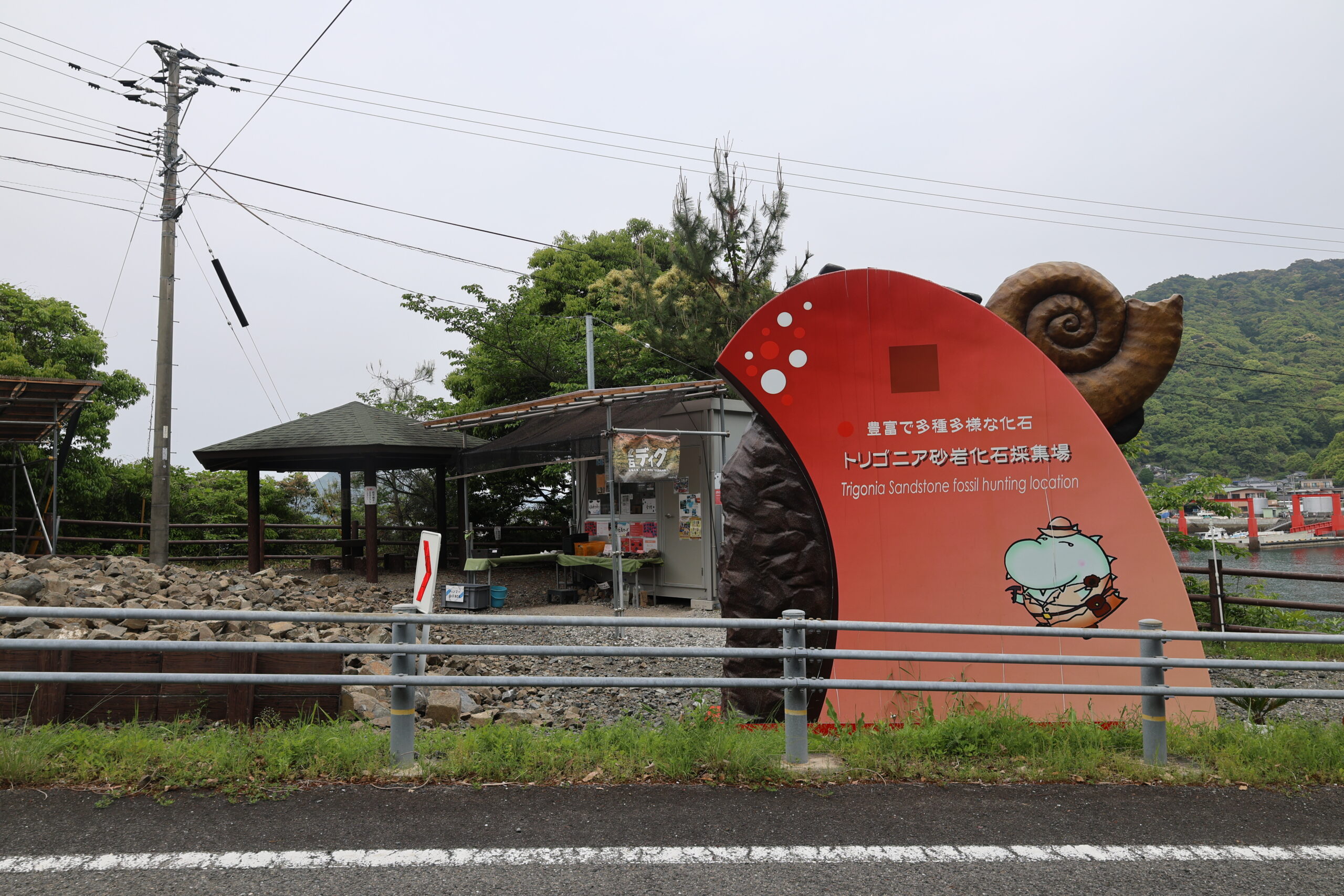 化石ティグの画像