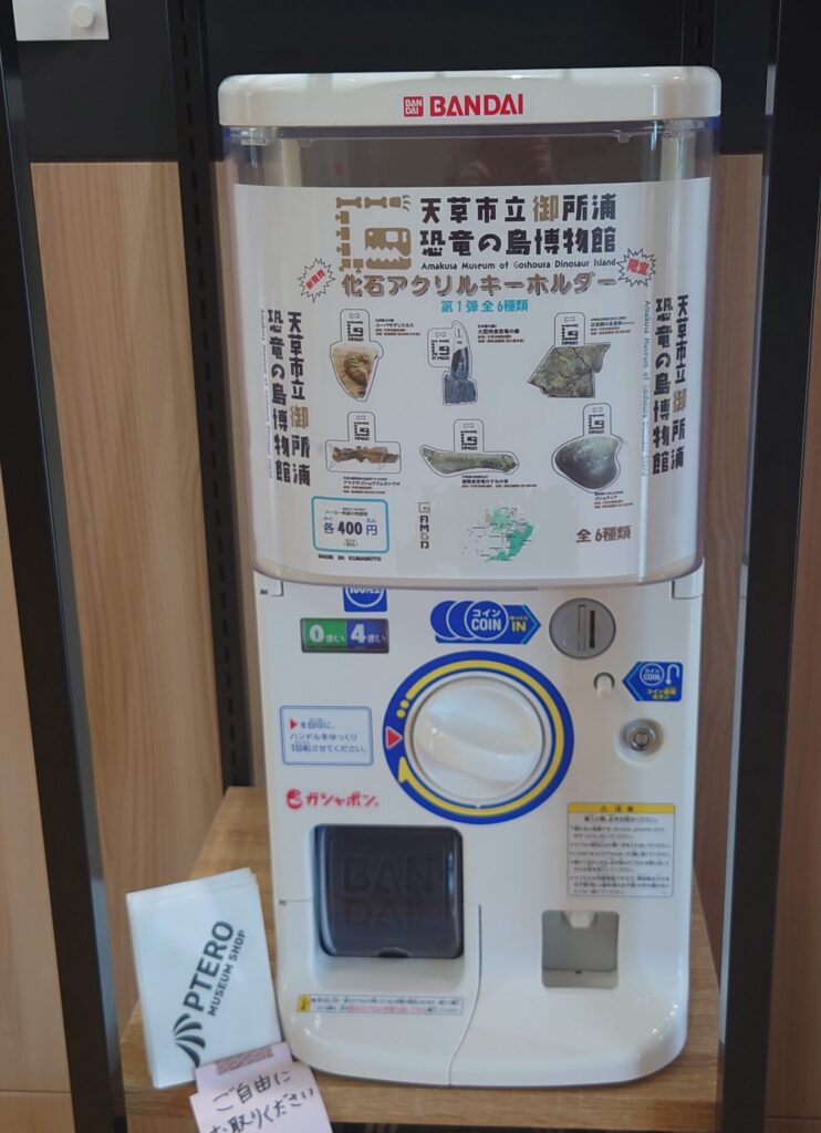 恐竜の島博物館オリジナルのガチャガチャの画像