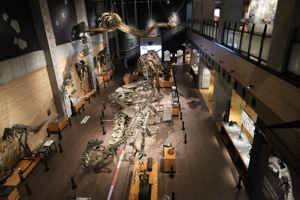 恐竜の島博物館の恐竜の全身骨格の画像