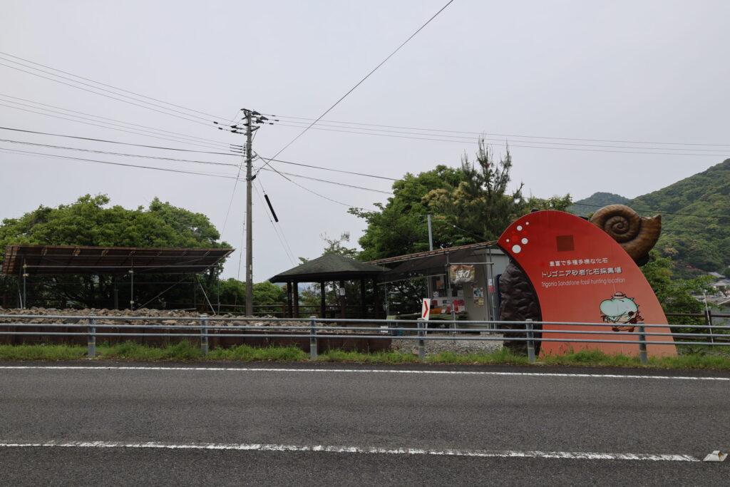 化石ディグの画像