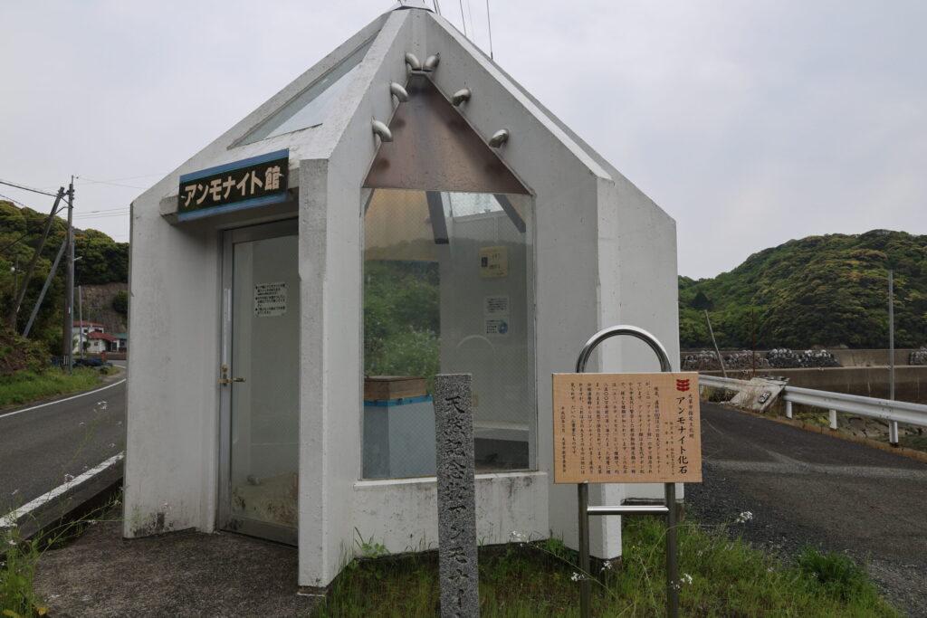 アンモナイト館の画像