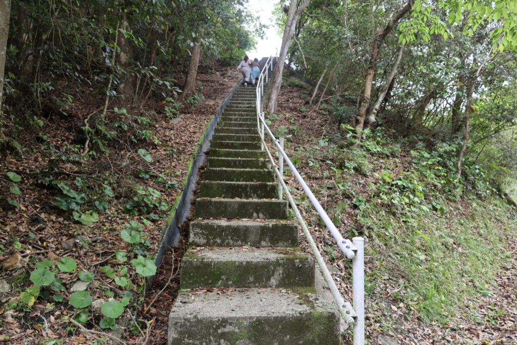 スフェノセラムスの壁への階段