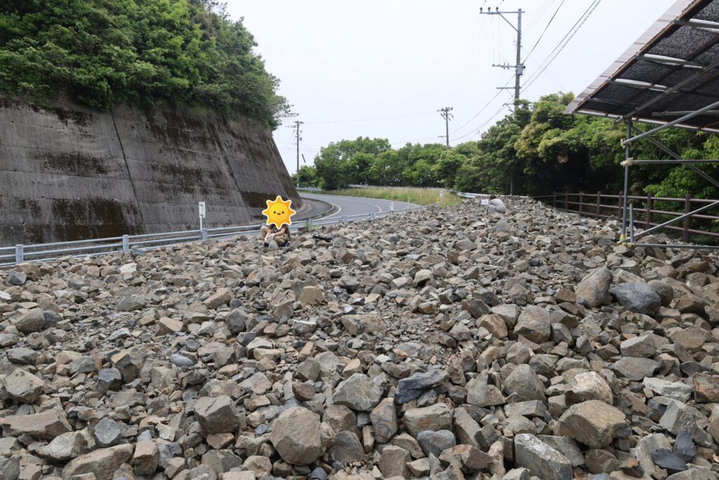 化石採取の画像