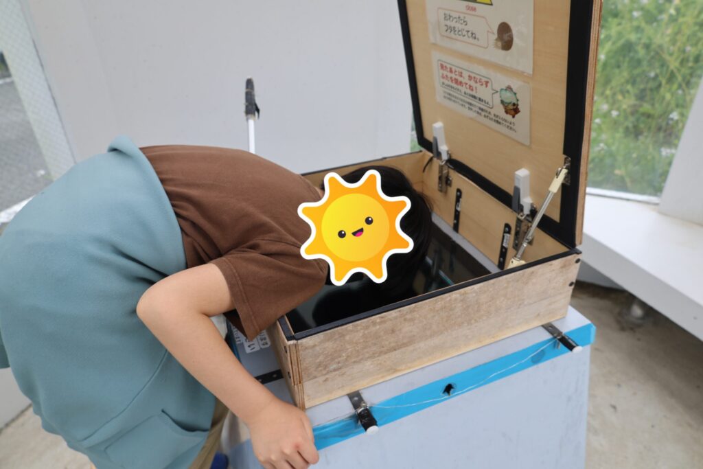 アンモナイトを覗く様子の画像