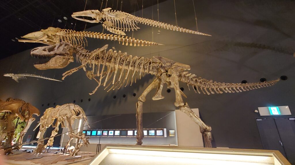 ティラノサウルスの画像