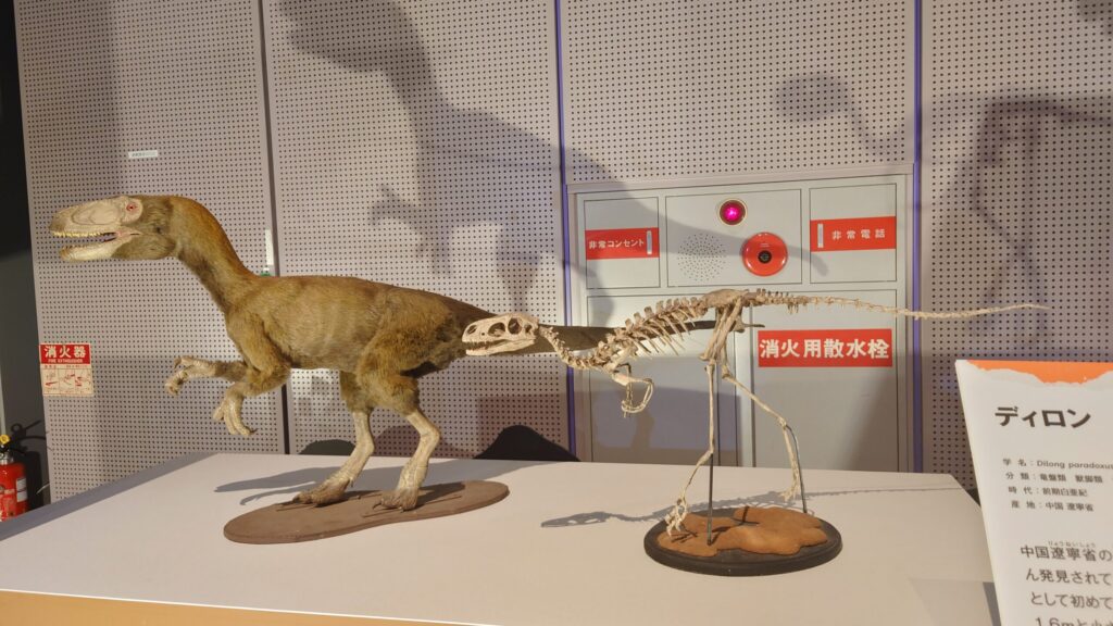 ディロン