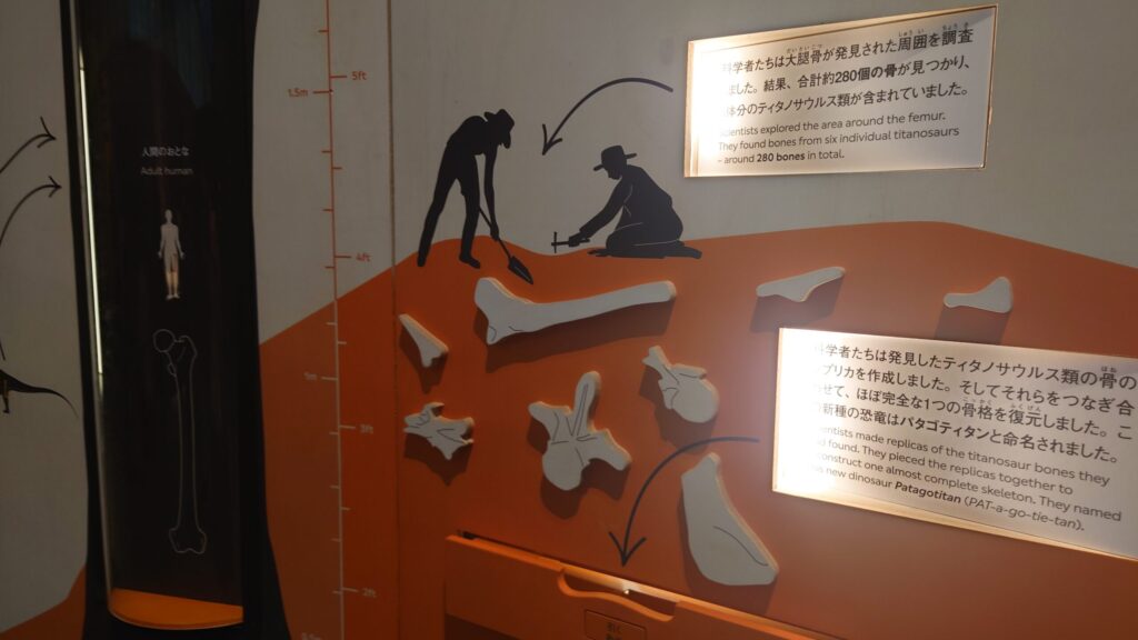動かしながら見るパタゴティタンの発見から命名までの展示パネル
