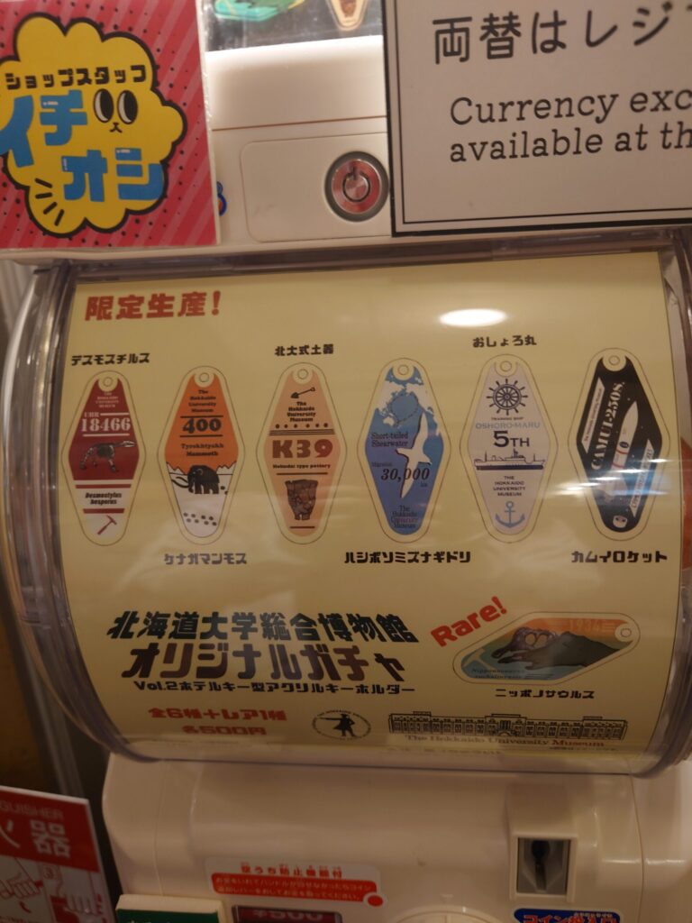 北海道総合博物館オリジナルガチャ