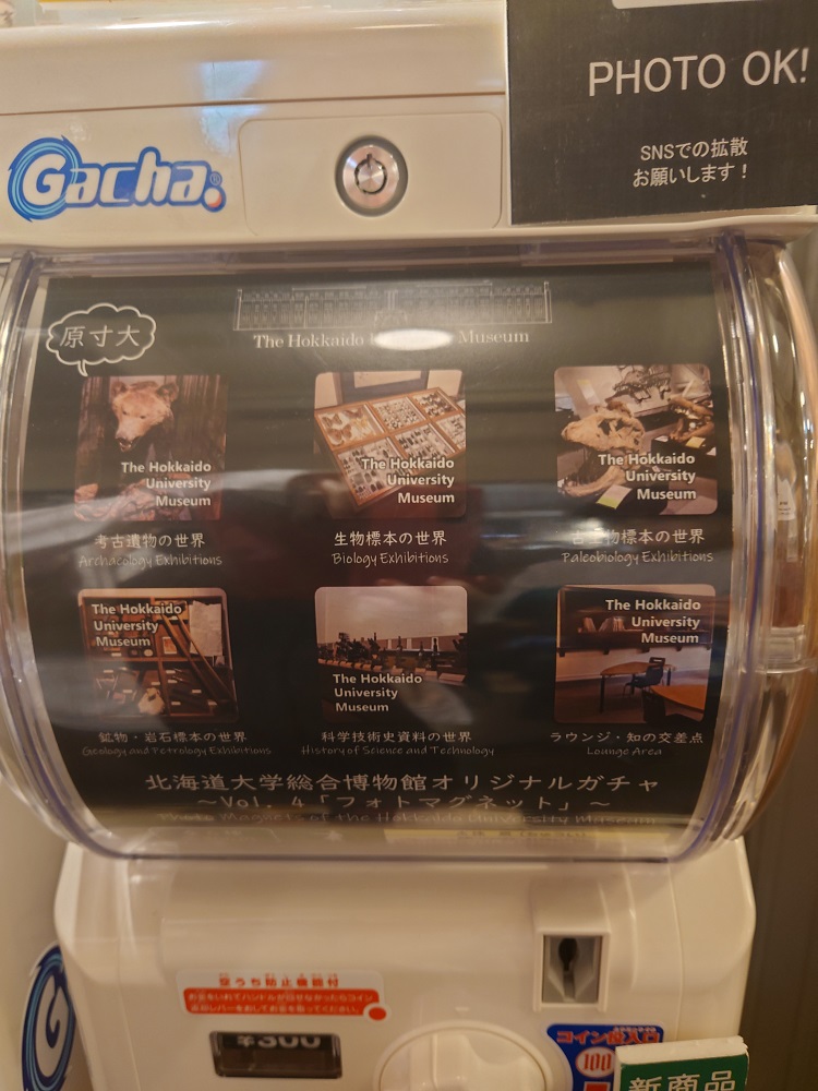 北海道総合博物館限定のマグネットガチャ