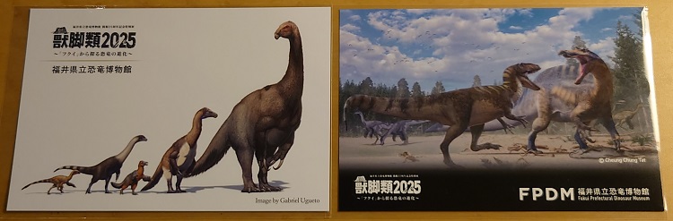 獣脚類2025ポストカード