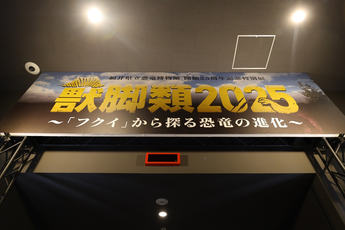 獣脚類２０２５