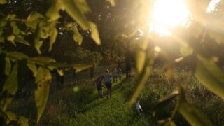 恐竜体験・スポット