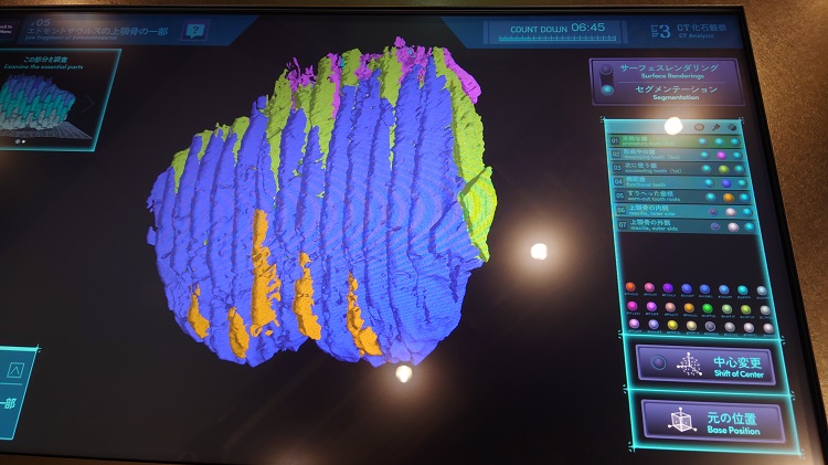 エドモントサウルスの上顎骨のCT観察