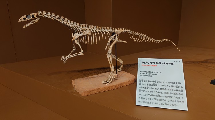 アジリサウルスの全身骨格
