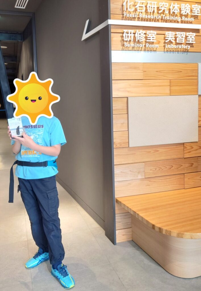 化石クリーニングの化石はお土産に