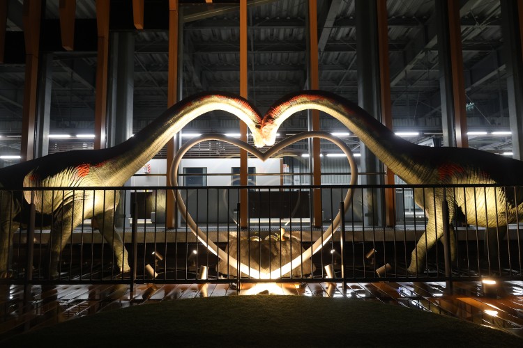 ライトアップされたフクイティタンのオブジェ