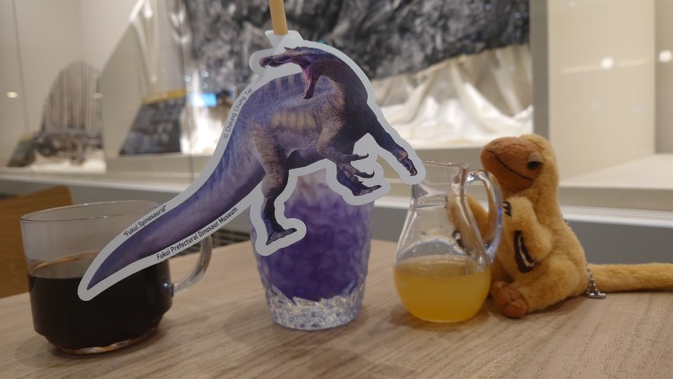 色の変化を楽しむ実験メニュー