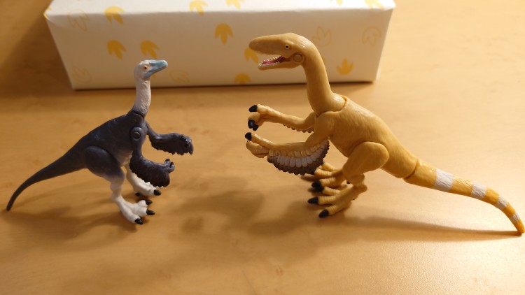 ティラノミムスとフクイベナトールのアニア