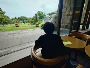 席からの眺め