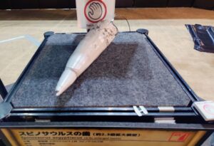 スピノサウルスの突き刺す歯